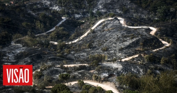 Incendies : Il faut spécialiser l'opération d'extinction - Agência Fogos Rurais