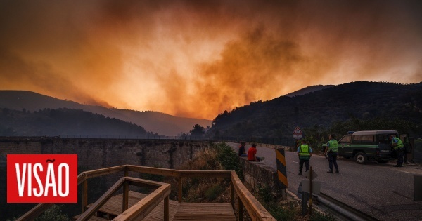 Incendies : le Portugal continental reste en alerte jusqu'à jeudi