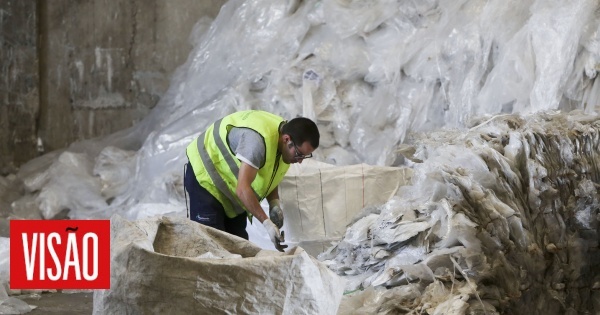 Valongo annonce un record de recyclage avec la valorisation de 27,19% des déchets