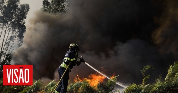 Incendies à Ourém et Leiria sous résolution