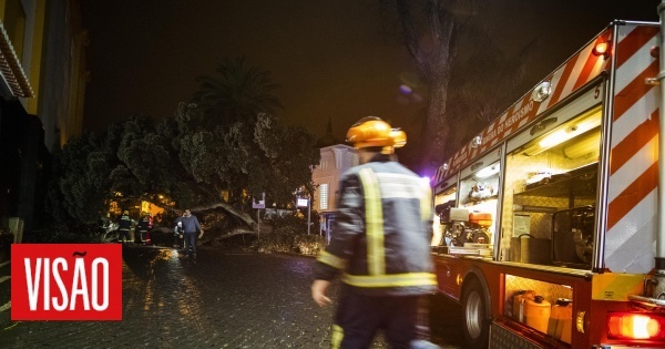 Θύματα κεραυνών στο στάβλο στο νησί Terceira και άλλοι πήραν εξιτήριο