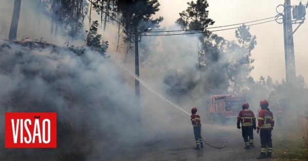 L'incendie de Sabugal est en cours de résolution et il y a deux actifs à Cabeceiras de Basto et Mondim de Basto
