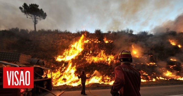 Plus de 240 agents combattent les incendies à Mondim de Basto et Cabeceiras de Basto