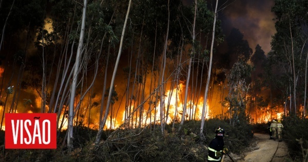 Plus de 400 pompiers à Penacova dans le seul incendie inquiétant à 22h30