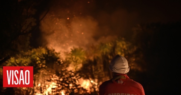 Incendie de la Serra da Estrela considéré comme maîtrisé, selon la protection civile