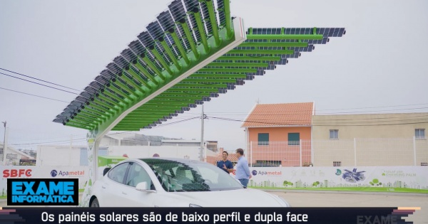 Solar Car Charging Palm, bornes de recharge solaires