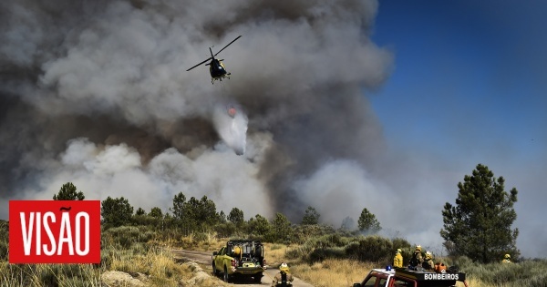 L'enquête sur les dommages causés par l'incendie de la Serra da Estrela est prête lundi