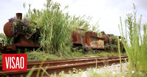 La municipalité refuse de fabriquer des locomotives à vapeur à Devesas 