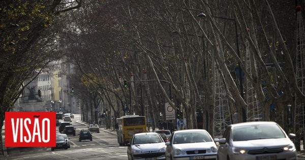 15540593_wm-8543110-7979934-jpg