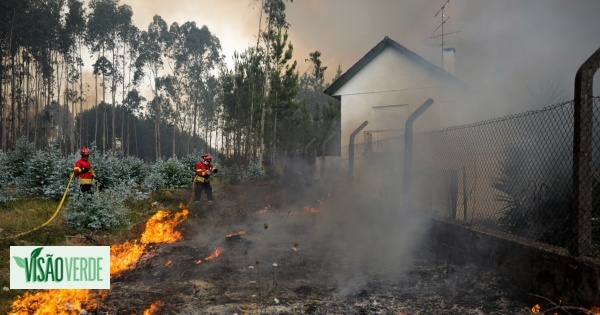 38957581_visao-verde-2521805-9852294-jpg