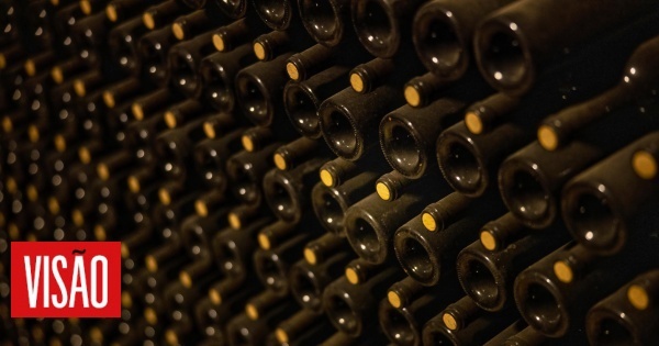 comercializarea-vinurilor-de-port-si-duro-a