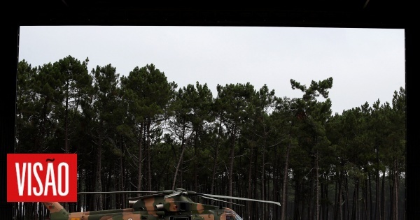 16424280_wm-3129805-9667288-jpg