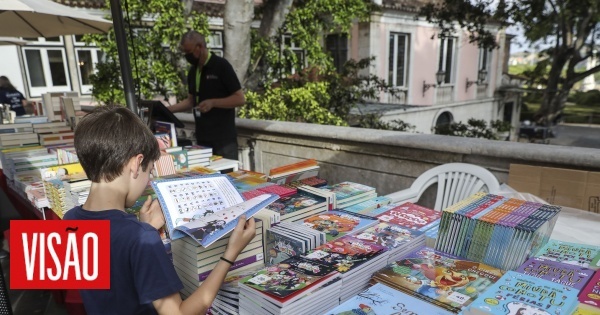 38682511_wm-3030835-4618753-jpg