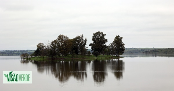 40108187_visao-verde-7611532-8129607-jpg