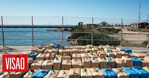 40501265_wm-4954461-5405403-jpg