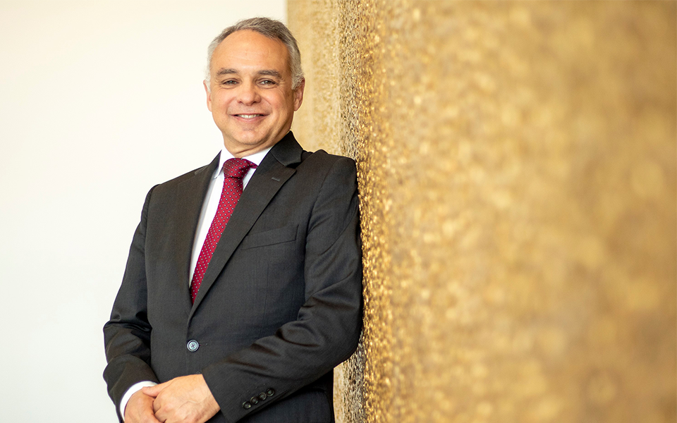 bernardo-ivo-cruz-7216896-3246181-png