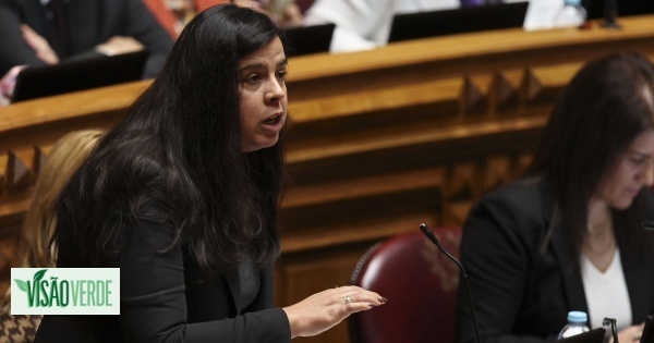 39871517_visao-verde-5482783-5188367-jpg